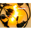 LED String Lights with Clear Bulbs UL Listed